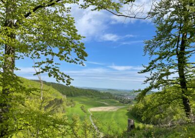 Wanderung rund um Essingen, Weitblick, Natur, Grün, schönes Wetter