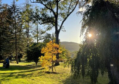 Schlosspark im Abendrot, Grün und Natur, Entspannung an der Frischen Luft